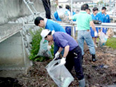 Lake Hamana Cleaning Campaign